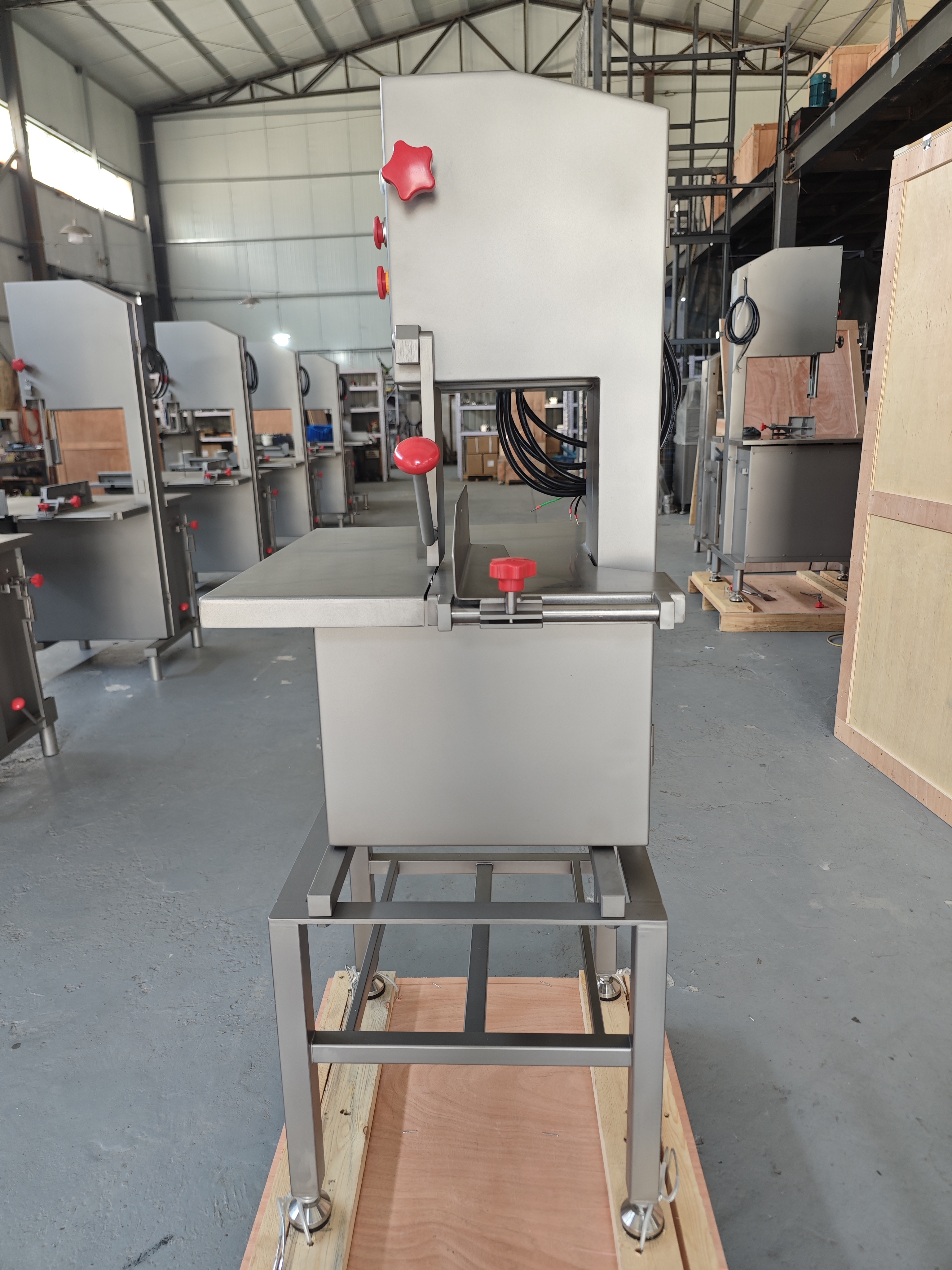 DANIEL BG103 bone saw, 3-phase 380V, 1.1 kW, 200×250 mm cutting, automatic blade tensioning, all stainless steel